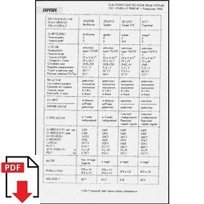 Technical sheet PDF