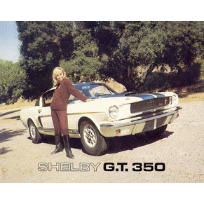 Brochure Ford Mustang Shelby GT 350 1966 PDF