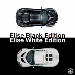 Brochure Lotus Elise Black & White edition 2009 PDF